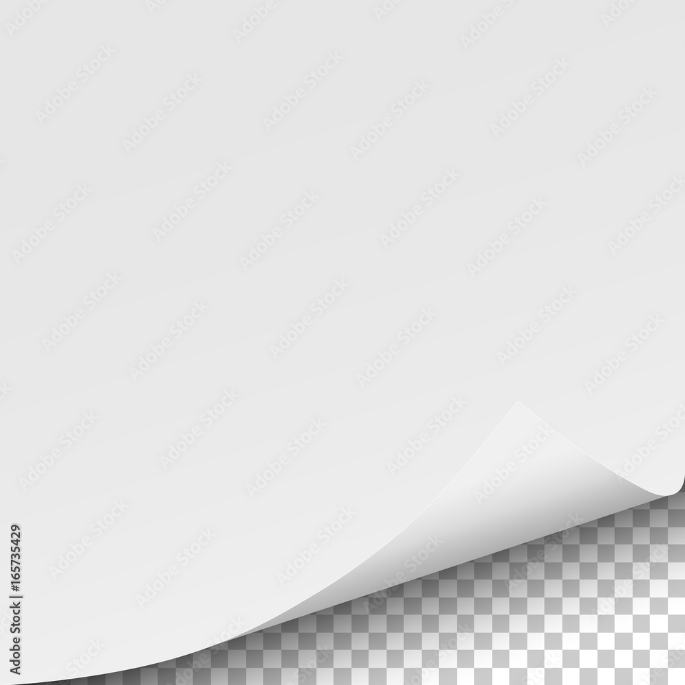 Wall mural sheet of white paper with curled lower right corner and transparent next page - template design. ele