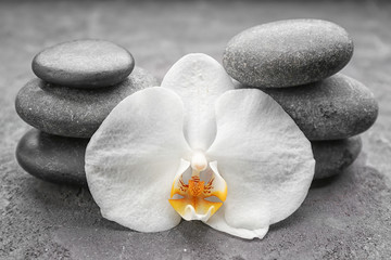 Beautiful white orchid with stones on grey background