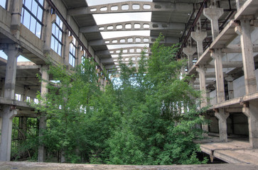 Abandoned overgrown ruins of industrial building, green post-apocalypse concept 