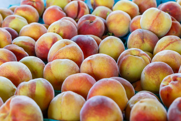 Fresh Peaches