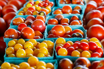 Fresh Tomatoes