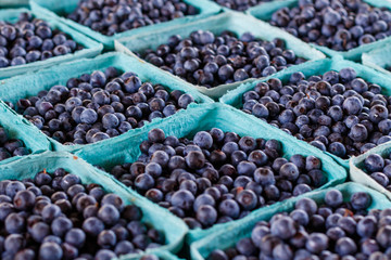 Fresh Blueberries
