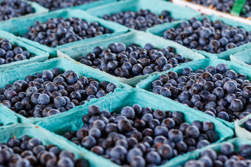 Fresh Blueberries © bryanpollard