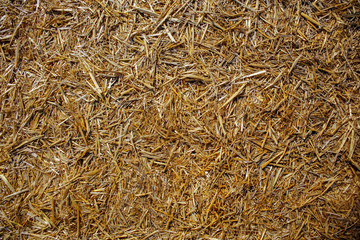 hay light texture, hay background, hay concept, village