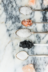 Different Kinds of Salts in Spoons