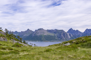 col de montagne aux îles Lofoten