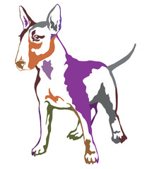 Colorful decorative standing portrait of dog Bull terrier, vector illustration