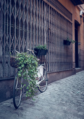 Fototapeta na wymiar Vieja bicicleta en color retro