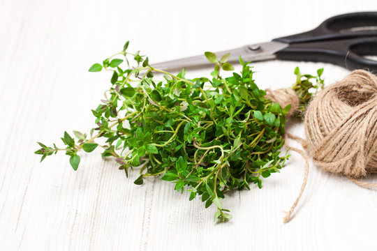 Fresh  bunch of thyme and kitchen scissors on white table