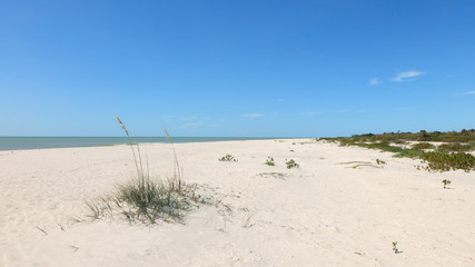 Beach of Sanibel Island, Florida, USA