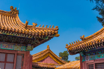 Fototapeta na wymiar Dächer in der Verbotenen Stadt, Peking