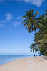 tropical island scene