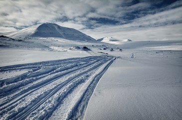Tracks on the snow in Spitzberg, Svalbard
