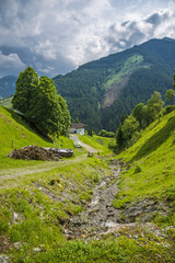 Naklejka premium Autriche/paysage