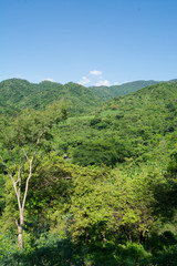 Fototapeta premium la sidra