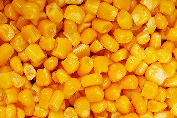 Corn grains.