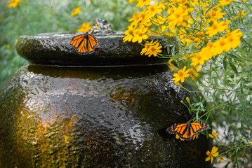 Garden Water Feature with flowers and butterflies