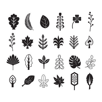 Black silhouette and line summer and tropical leaves icons set on white background