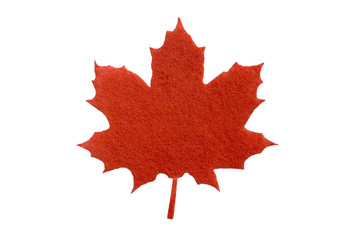 maple leaf,