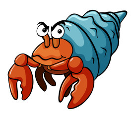 Hermit crab with serious face