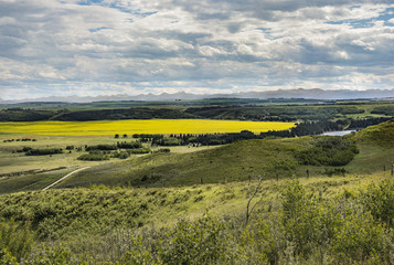 Obraz premium Glenbow Ranch Provincial Park