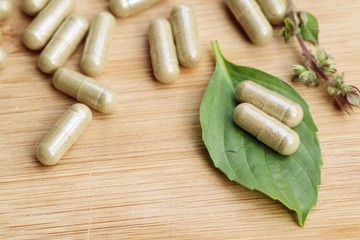 herbal basil with capsule