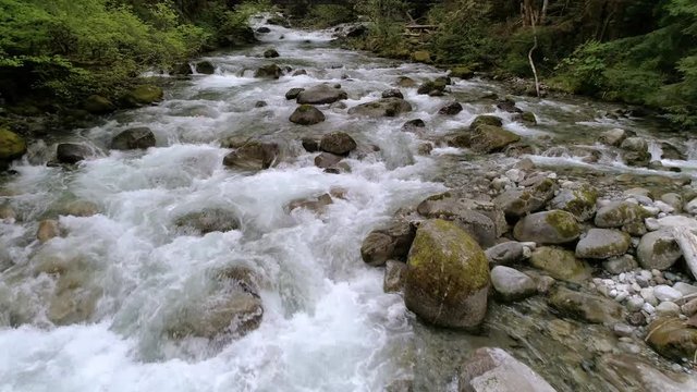 Slow Motion Drone Flying Upstream of Forest River in Pacific Northwest
