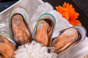 New Zealand mussels with a black background