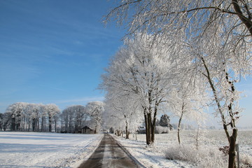 Wintersonne