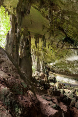 Cave in Niah national park