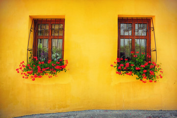 Fototapeta na wymiar Wooden windows decorated with flowers