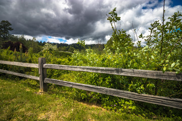 Fenced Off