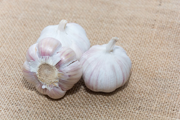 garlic on sack