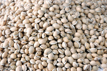 dry white bean top view as food background