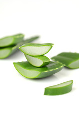 Fototapeta premium Aloe vera leaves
