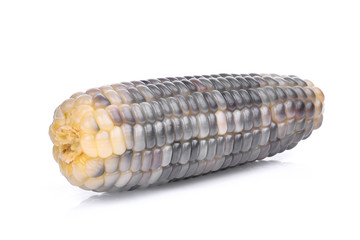 single waxy corn, tropical plants isolated on white background