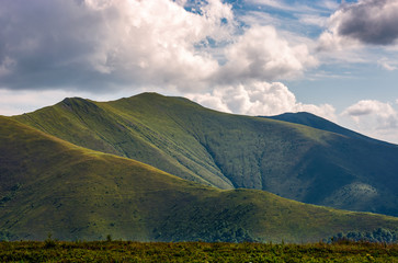 Carpathian Mountain Range in summer