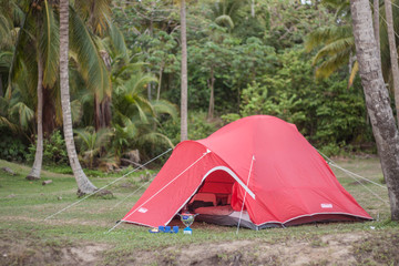camping acampar 