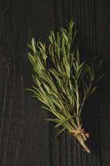 Rosemary on wooden background