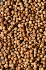  Dried coriander seeds