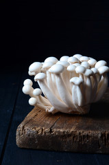 Shimeji mushrooms on wood