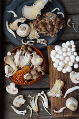 Fototapeta na wymiar Variety of Mushrooms