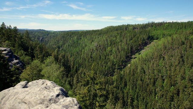 Widok na czeski las z góry w parku krajobrazowym "Skalne Miasto"