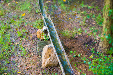 Fototapete bei efototapeten.de bestellen   