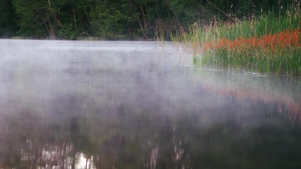 Beautiful type on the morning lake and natural sounds of the nature in Finland.