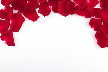 Red rose petals with copy space on white background