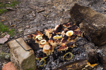 Pork meat roasting on the grill. Meat on the coals, barbeque close up