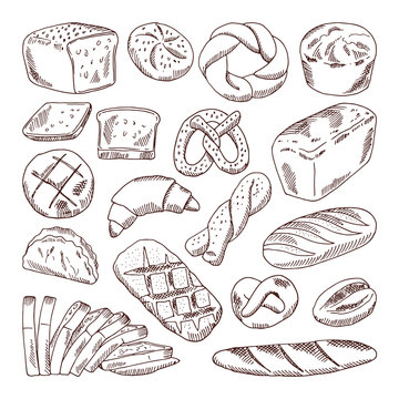 Different types of fresh bread. Vector hand drawn illustrations of bakery foods