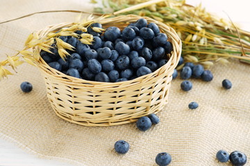 Fresh blueberries and ripe oat spikelets close-up