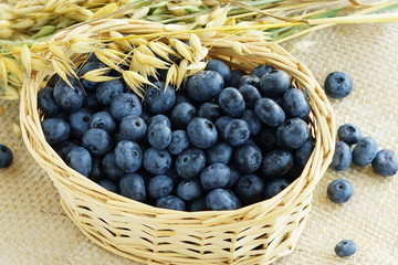 Fresh blueberries and ripe oat spikelets close-up